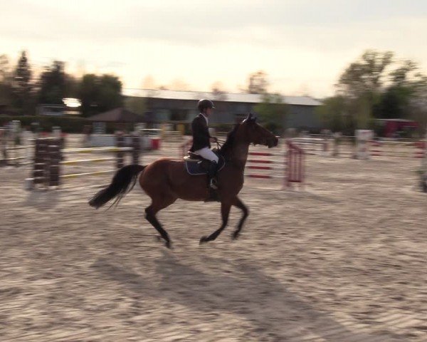 Reitturnier Pietzpuhl 2024