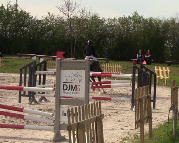 Reitturnier Pietzpuhl 2024