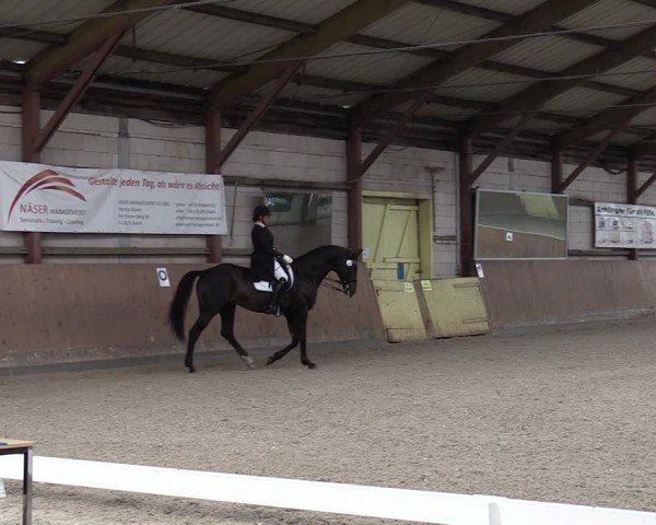 Reitturnier Elisenau 2024