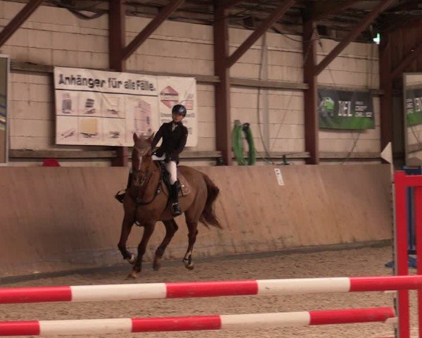 Reitturnier Elisenau 2024