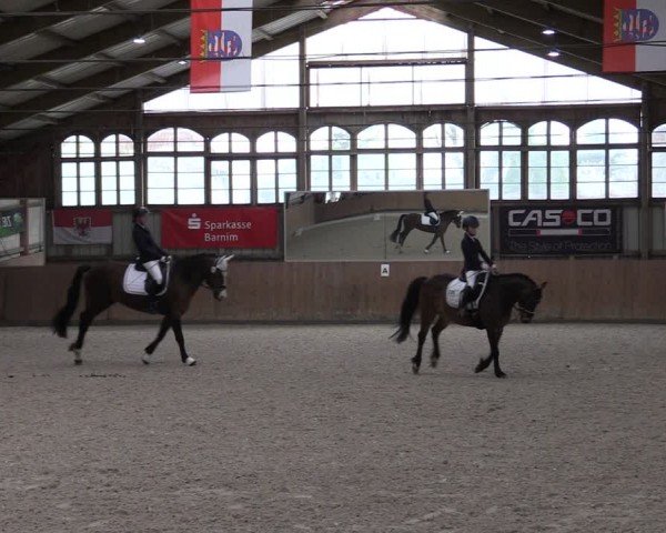 Reitturnier Elisenau 2024