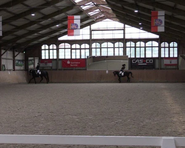 Reitturnier Elisenau 2024