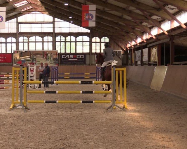 Reitturnier Elisenau 2024