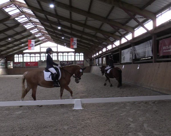 Reitturnier Elisenau 2024