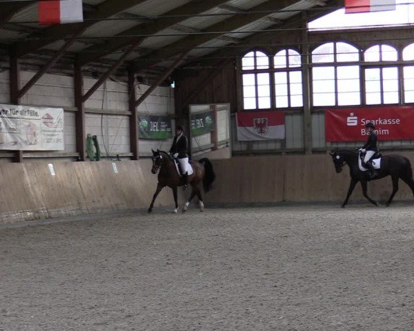 Reitturnier Elisenau 2024