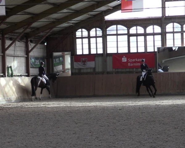 Reitturnier Elisenau 2024