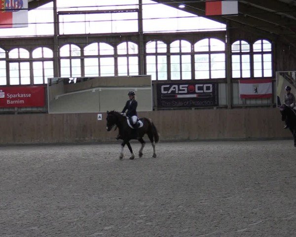 Reitturnier Elisenau 2024