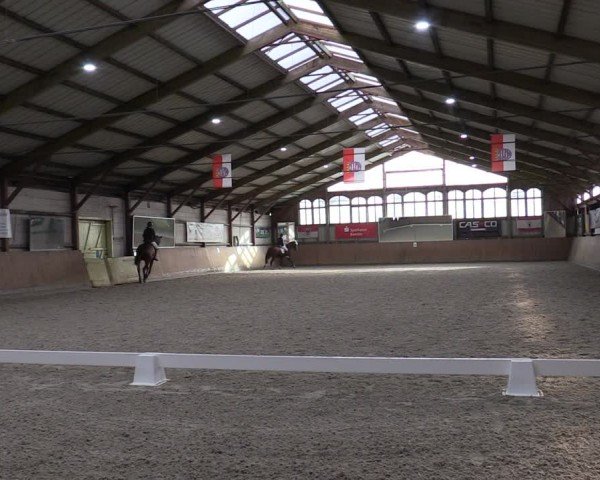 Reitturnier Elisenau 2024