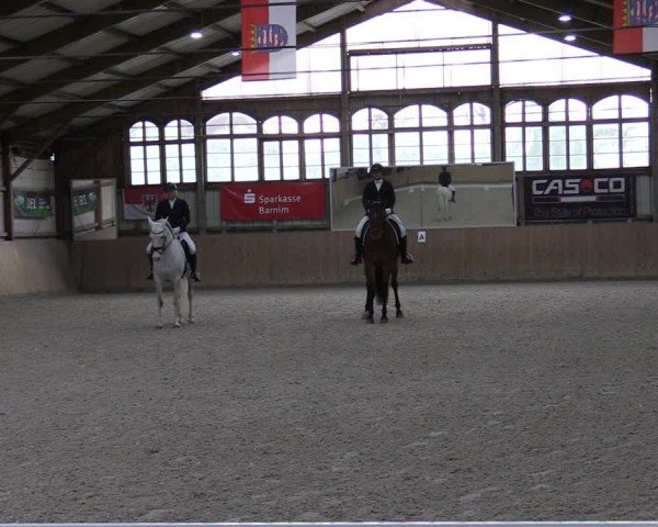 Reitturnier Elisenau 2024