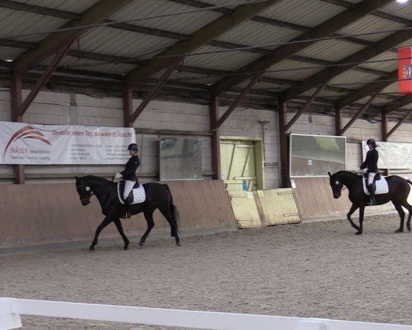 Reitturnier Elisenau 2024