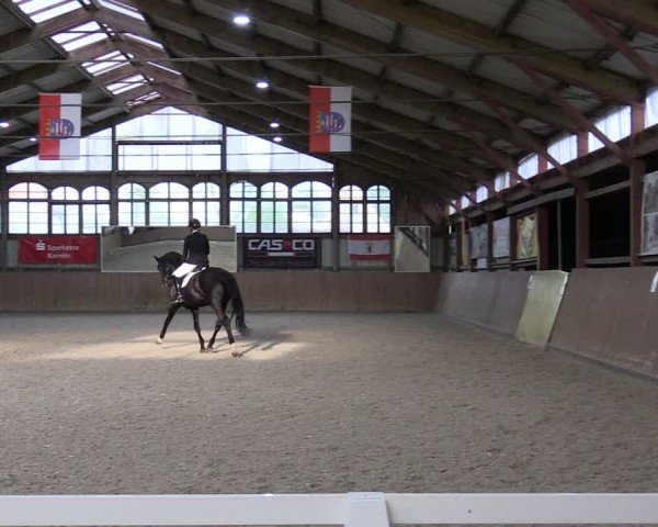 Reitturnier Elisenau 2024