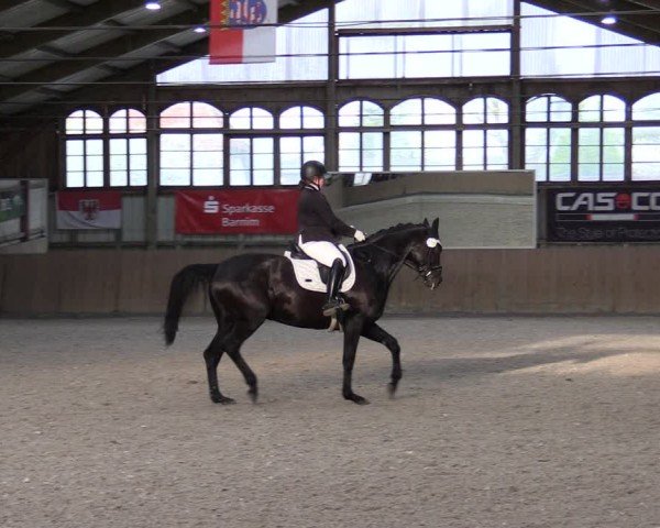 Reitturnier Elisenau 2024