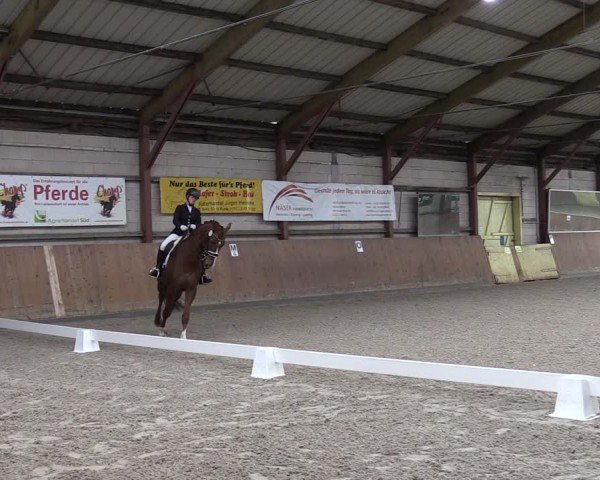 Reitturnier Elisenau 2024