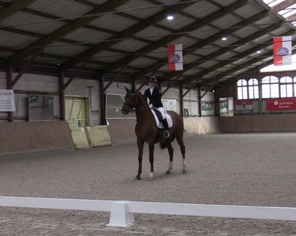 Reitturnier Elisenau 2024