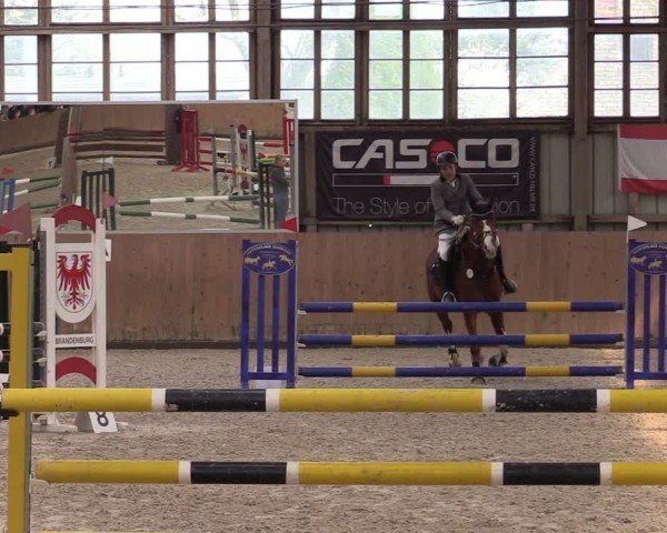 Reitturnier Elisenau 2024