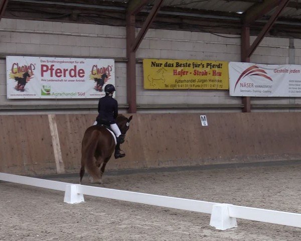 Reitturnier Elisenau 2024