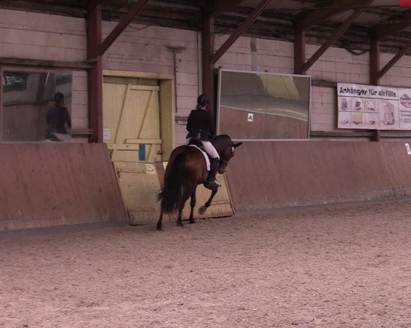 Reitturnier Elisenau 2024