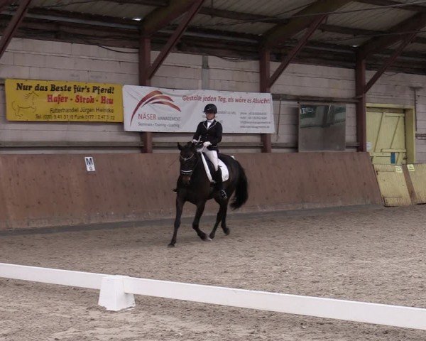 Reitturnier Elisenau 2024
