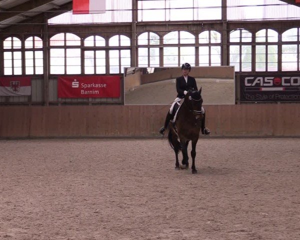 Reitturnier Elisenau 2024