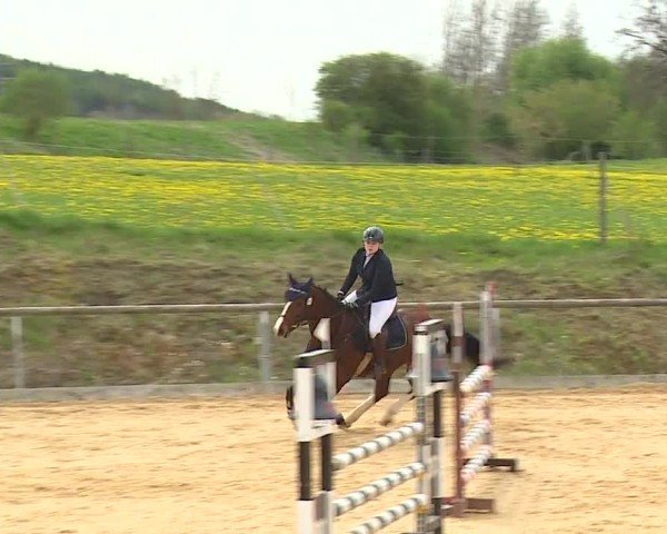 Reitturnier Altentrüdingen/Mfr. 2024