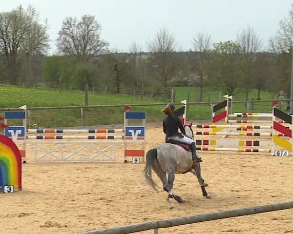 Reitturnier Altentrüdingen/Mfr. 2024