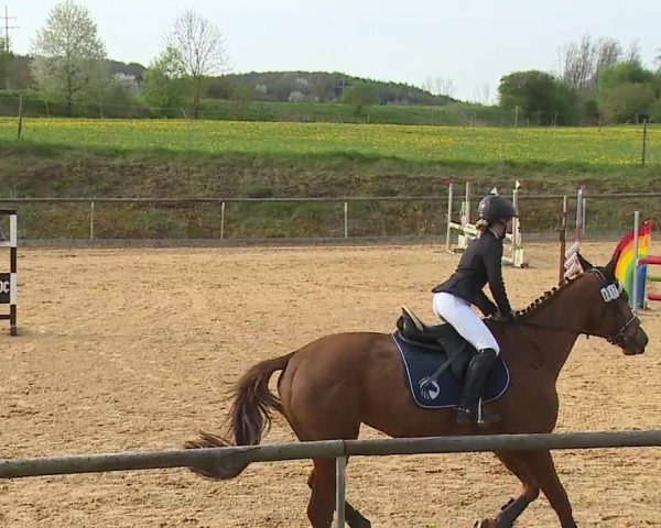 Reitturnier Altentrüdingen/Mfr. 2024