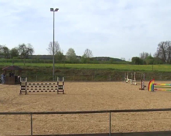 Reitturnier Altentrüdingen/Mfr. 2024