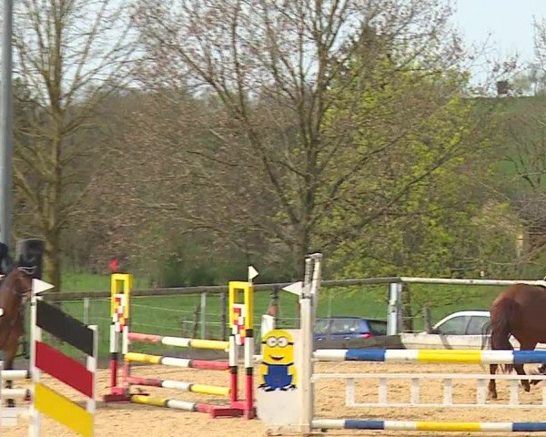 Reitturnier Altentrüdingen/Mfr. 2024