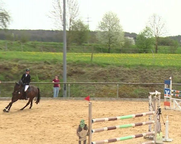 Reitturnier Altentrüdingen/Mfr. 2024