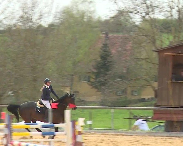Reitturnier Altentrüdingen/Mfr. 2024