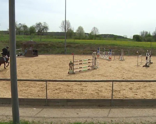 Reitturnier Altentrüdingen/Mfr. 2024