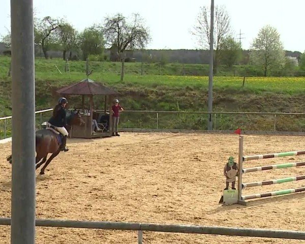 Reitturnier Altentrüdingen/Mfr. 2024