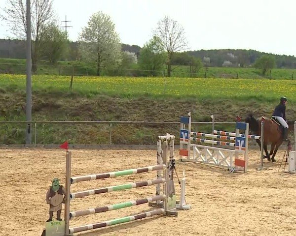 Reitturnier Altentrüdingen/Mfr. 2024