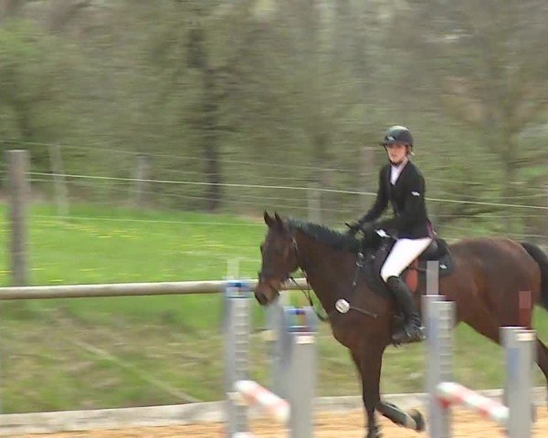 Reitturnier Altentrüdingen/Mfr. 2024