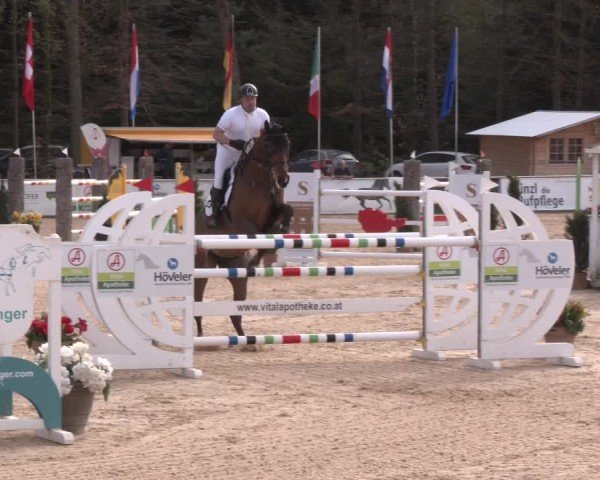 Reitturnier Ranshofen - Braunau am Inn 2024