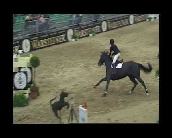 Warsteiner Champions Trophy 2011