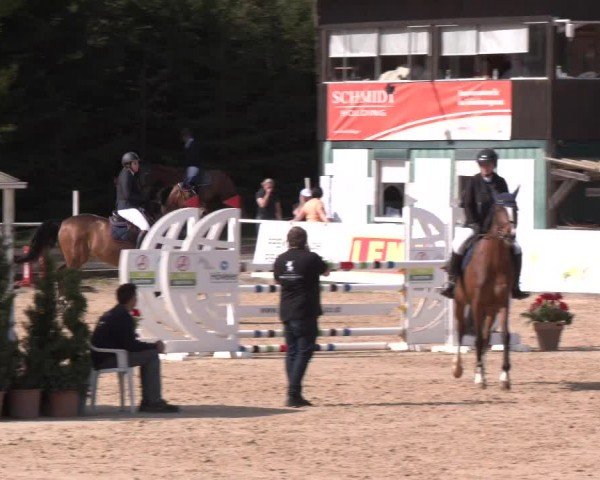 Reitturnier Ranshofen - Braunau am Inn 2024