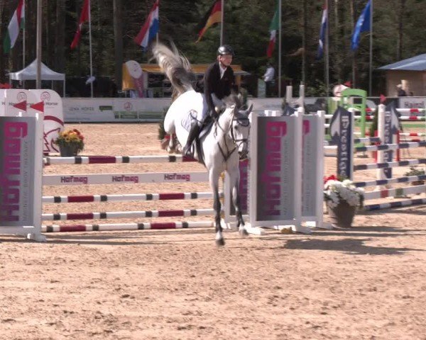 Reitturnier Ranshofen - Braunau am Inn 2024