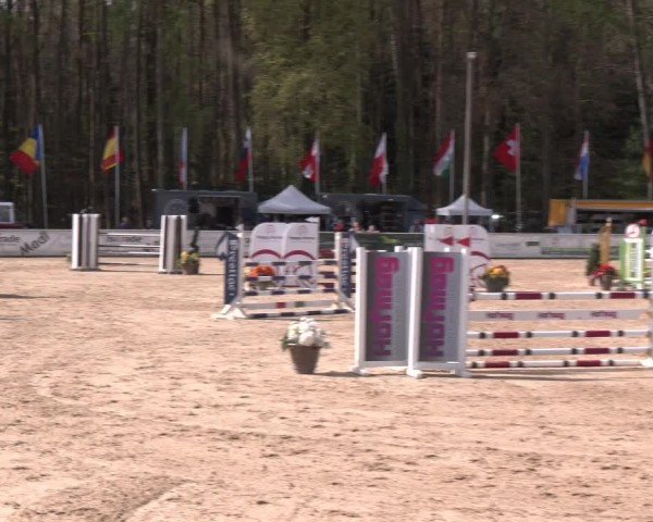 Reitturnier Ranshofen - Braunau am Inn 2024