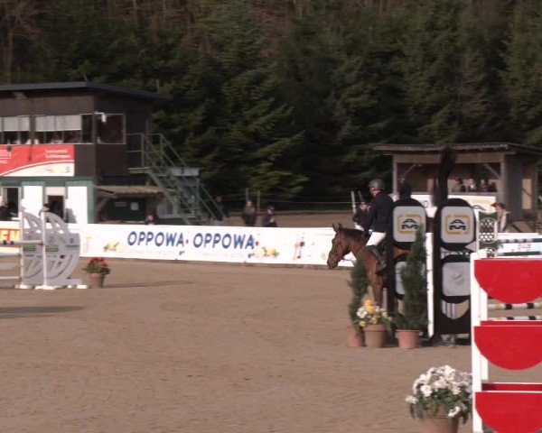 Reitturnier Ranshofen - Braunau am Inn 2024