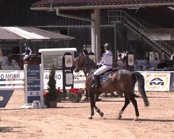Reitturnier Ranshofen - Braunau am Inn 2024