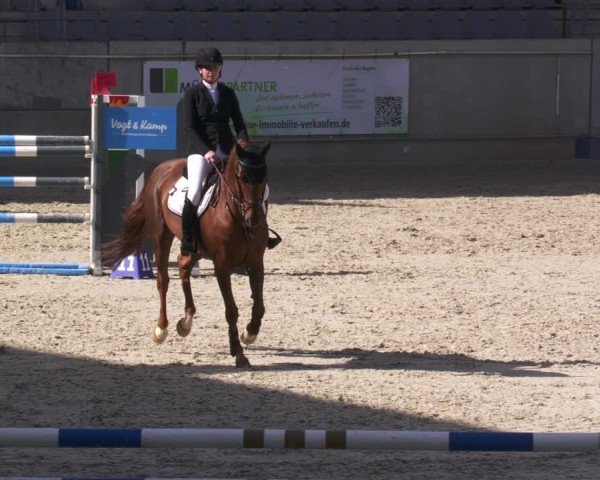 Reitturnier Aachen 2024