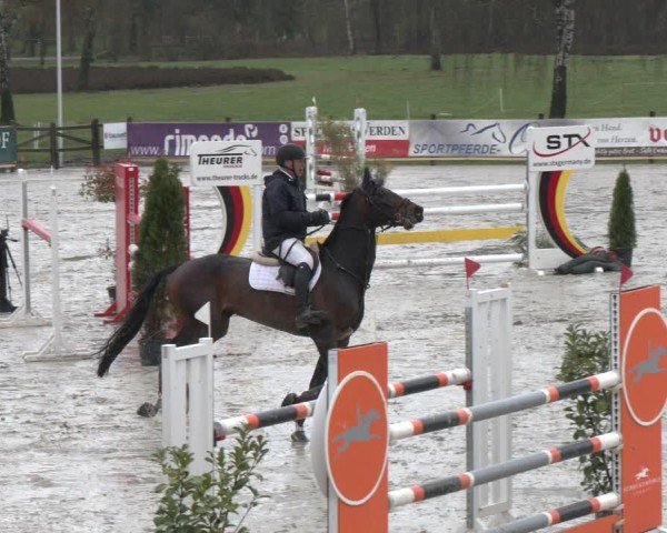 Reitturnier Westergellersen 2024