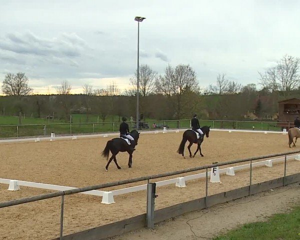 Reitturnier Altentrüdingen/Mfr. 2024