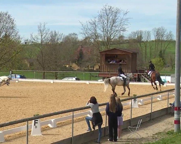 Reitturnier Altentrüdingen/Mfr. 2024