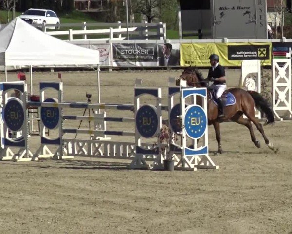 Reitturnier St. Margarethen 2024