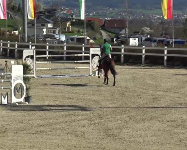 Reitturnier St. Margarethen 2024