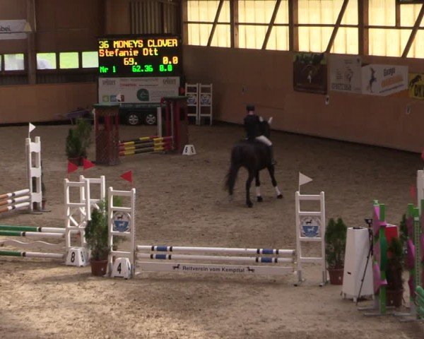 Reitturnier Fehraltorf 2024