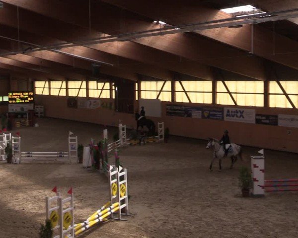 Reitturnier Fehraltorf 2024