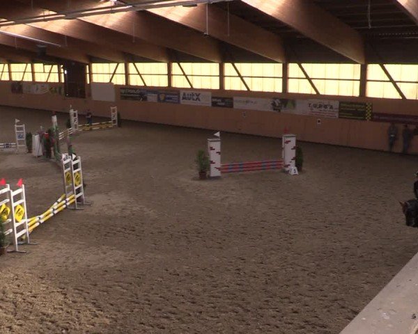 Reitturnier Fehraltorf 2024